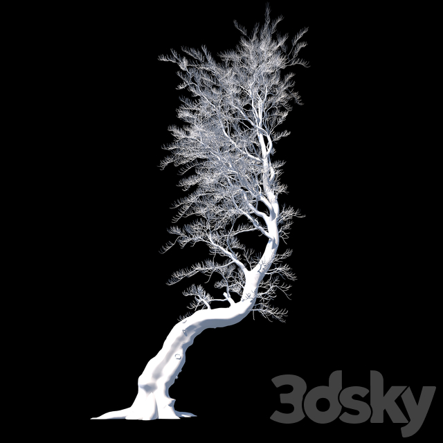 آبجکت سه بعدی درخت کاج عکس 3