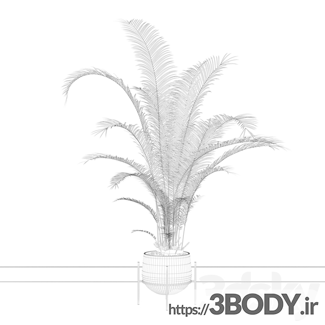 آبجکت سه بعدی مجموعه گیاهان نخل آرکا عکس 5