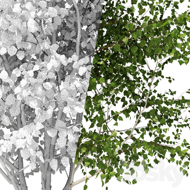 آبجکت سه بعدی درخت عکس 3