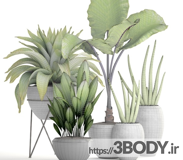 مدل سه بعدی مجموعه گیاهان و گل گرمسیری عکس 3