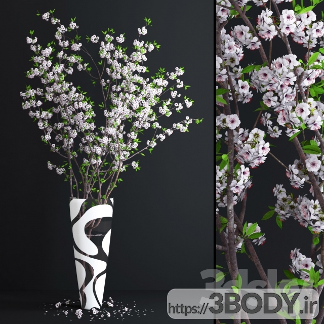 مدل سه بعدی شکوفه سفید گیلاس عکس 1
