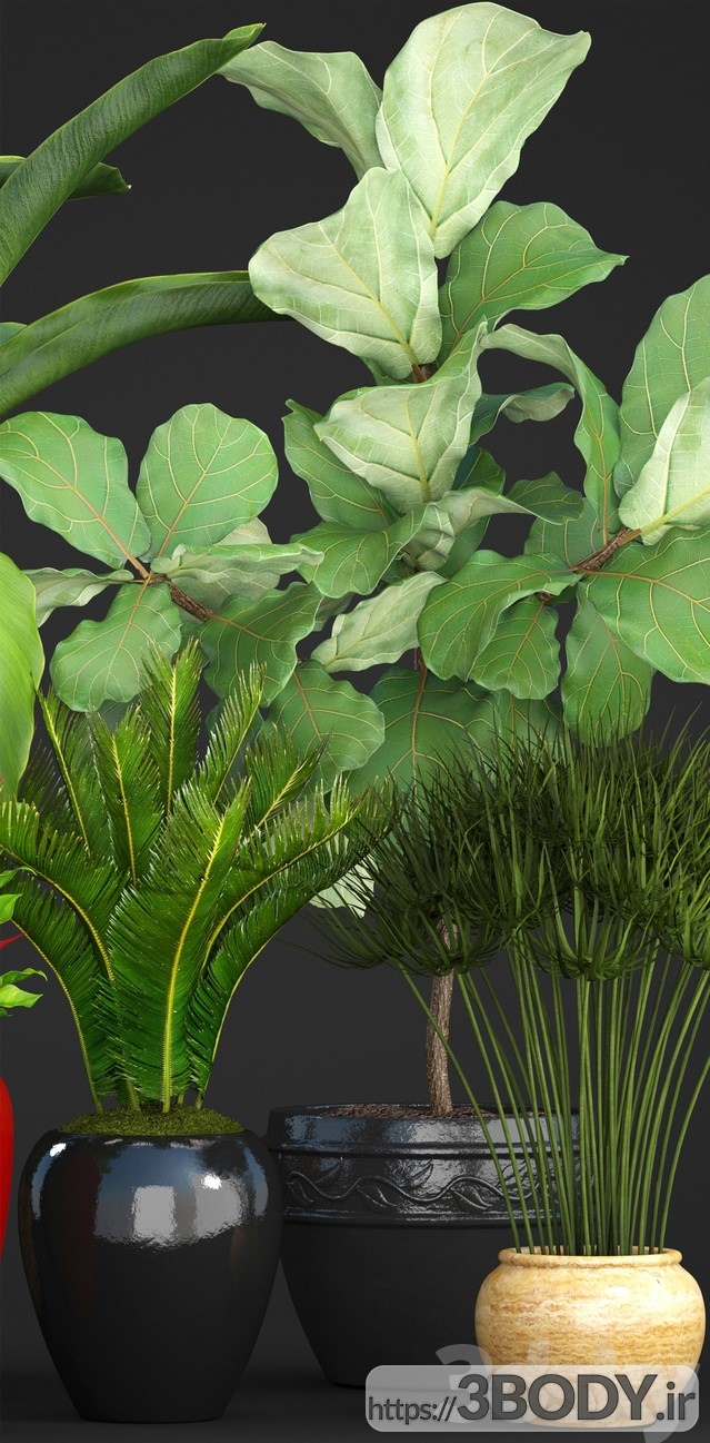 ابجکت سه بعدی مجموعه گیاهان وگل های زینتی عکس 3