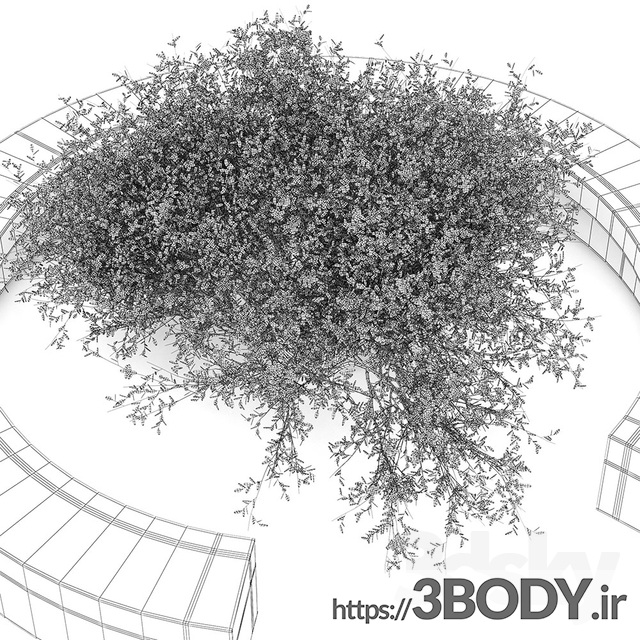 آبجکت سه بعدی درخت ودرختچه شانه نیمکت درختی عکس 3