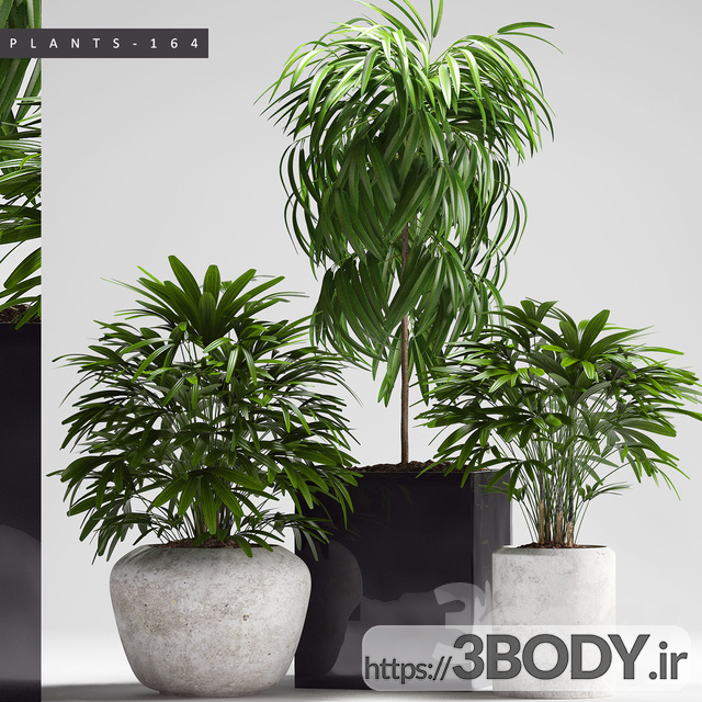 مدل سه بعدی گل و گیاه آپارتمانی عکس 1