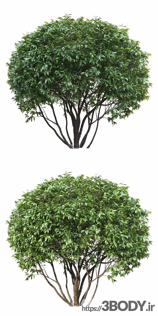 آبجکت سه بعدی درخت ودرختچه عکس 2