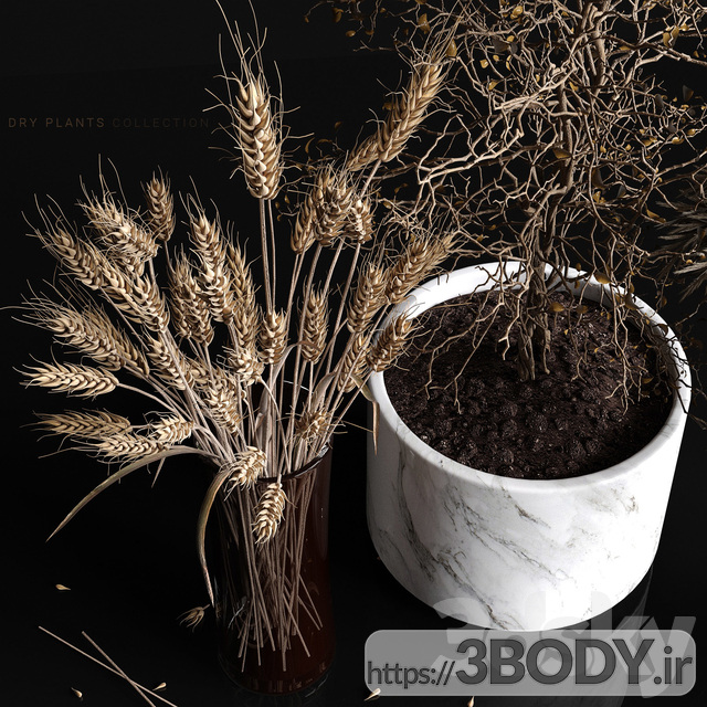 مدل سه بعدی مجموعه گیاهان خشک عکس 2