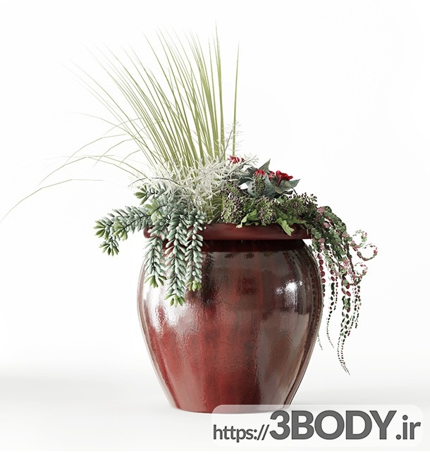 مدل سه بعدی گل و گیاه زینتی عکس 5
