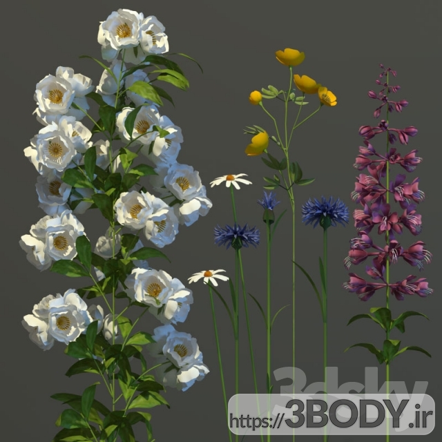 مدل  سه بعدی گل و گیاه دسته گل گلهای وحشی عکس 2