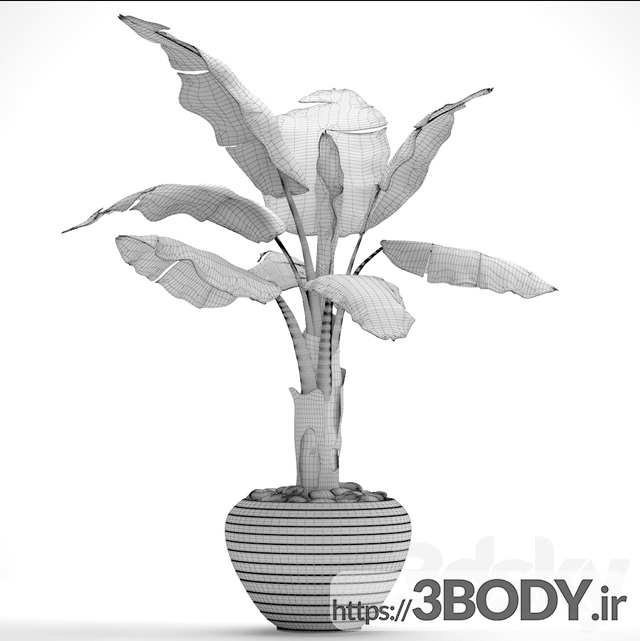 امدل سه بعدی گل و گلدان زینتی عکس 3