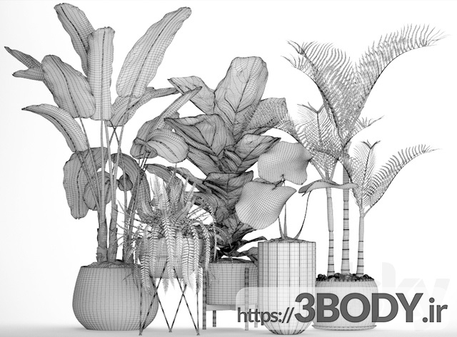 مدل سه بعدی مجموعه ای از گیاهان در گلدان عکس 4
