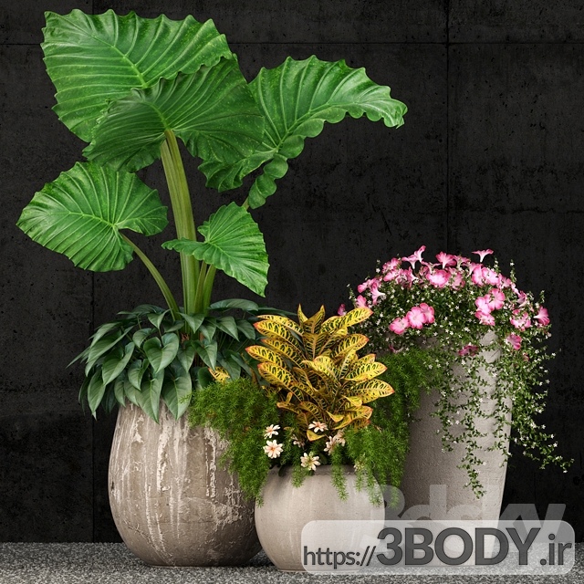مدل سه بعدی گل و گیاه با گلدان دکوری عکس 1