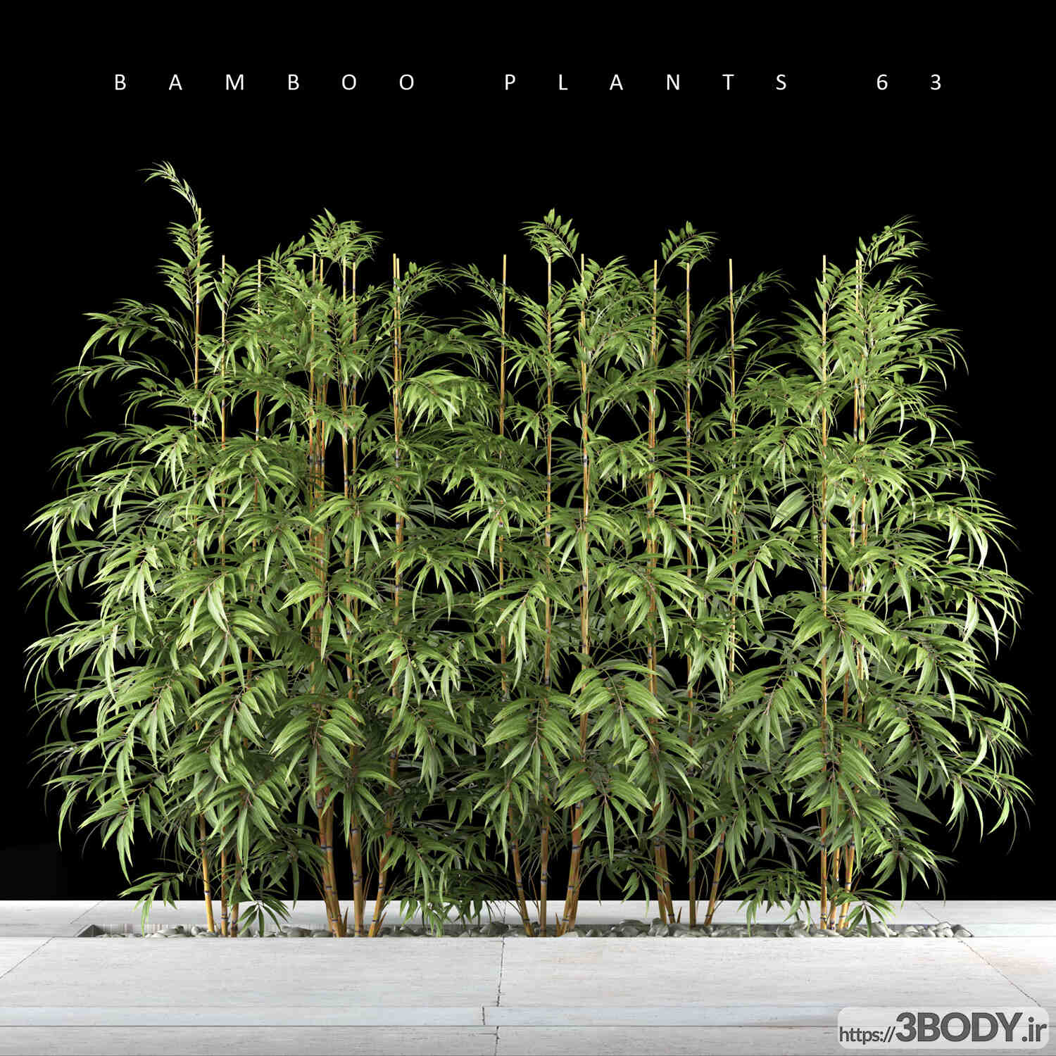 مدل سه بعدی گیاهان بامبو عکس 1