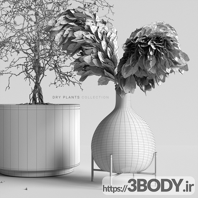 مدل سه بعدی مجموعه گیاهان خشک عکس 3