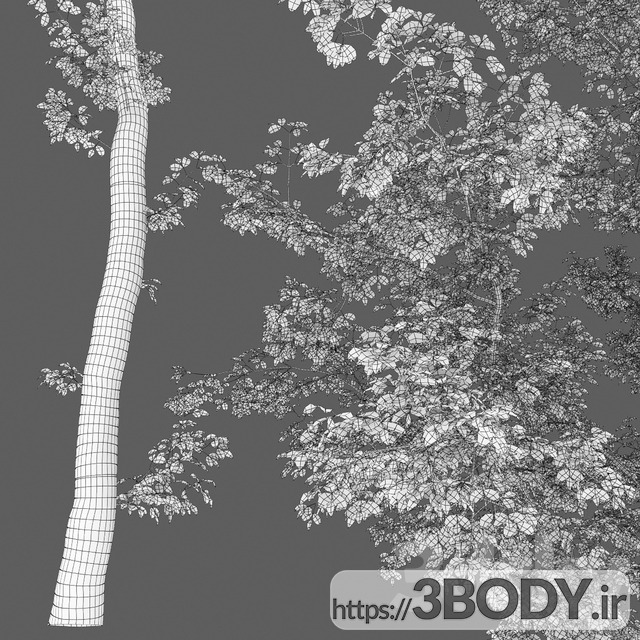 آبجکت سه بعدی درخت عکس 2