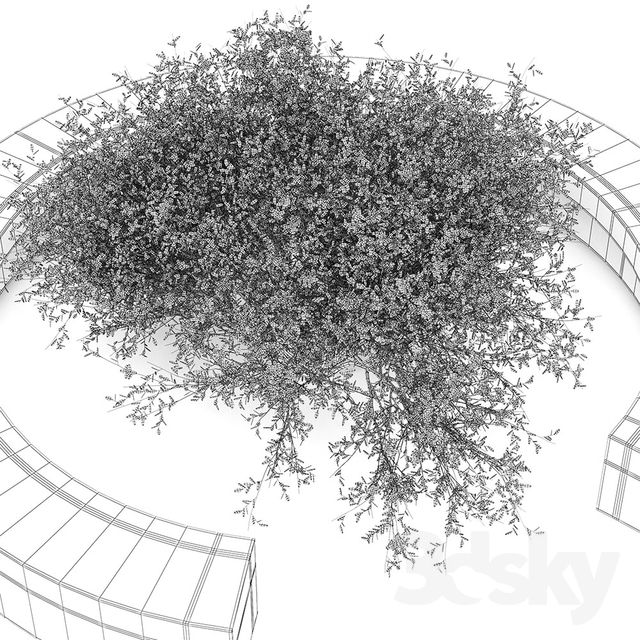 آبجکت سه بعدی درخت و درختچه عکس 6