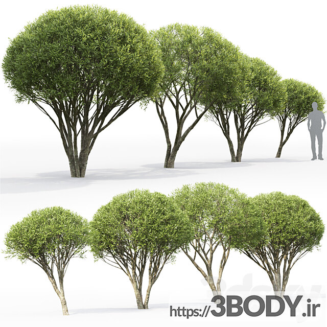 آبجکت سه بعدی درخت و درختچه عکس 3
