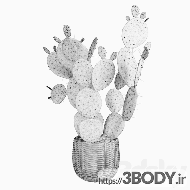 آبجکت سه بعدی گل و گیاه کاکتوس عکس 3