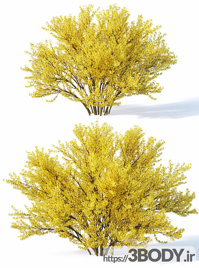 آبجکت سه بعدی  درخت ودرختچه عکس 2
