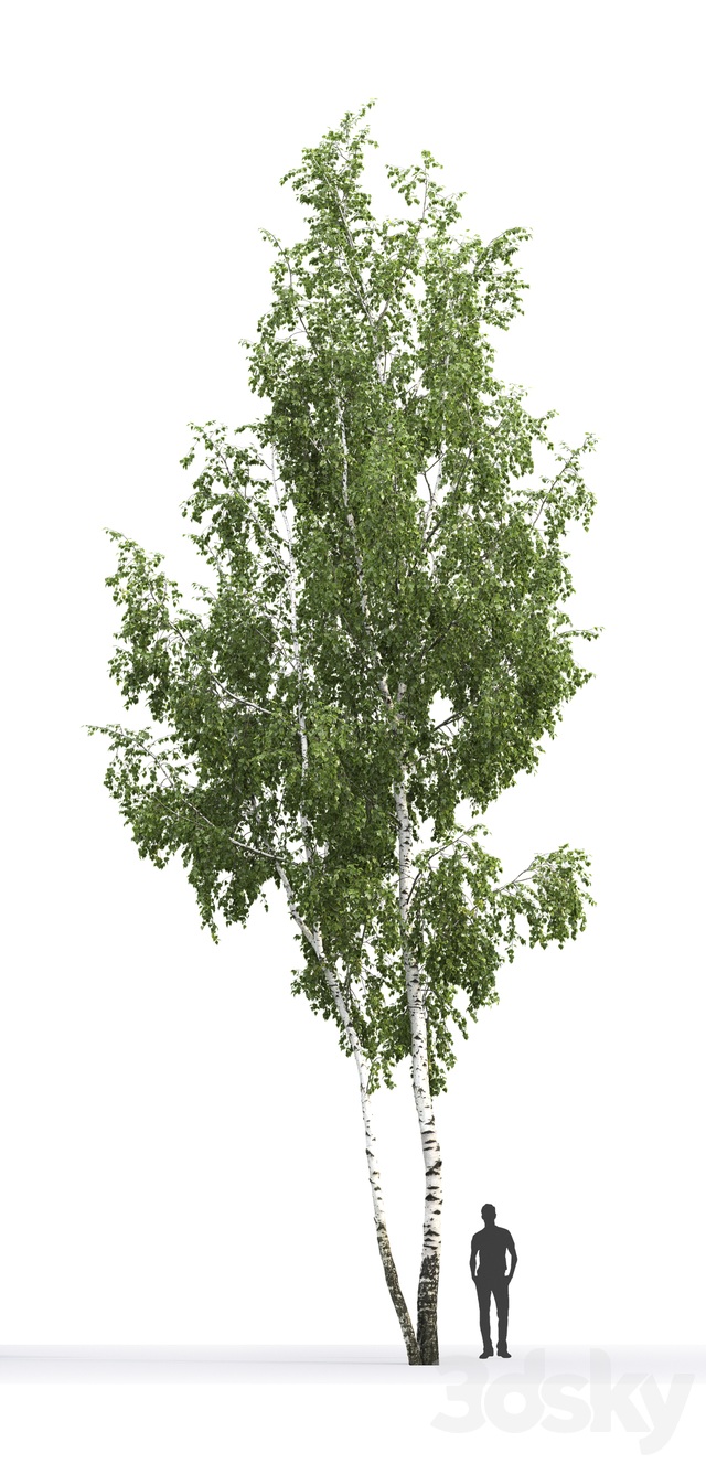 آبجکت سه بعدی درخت عکس 3