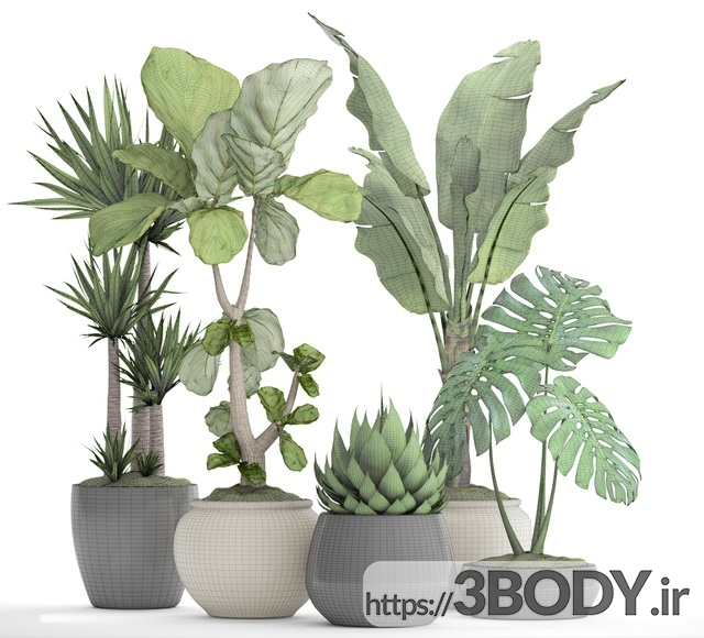 مدل سه  بعدی مجموعه ای از گیاهان وگلدان عکس 2