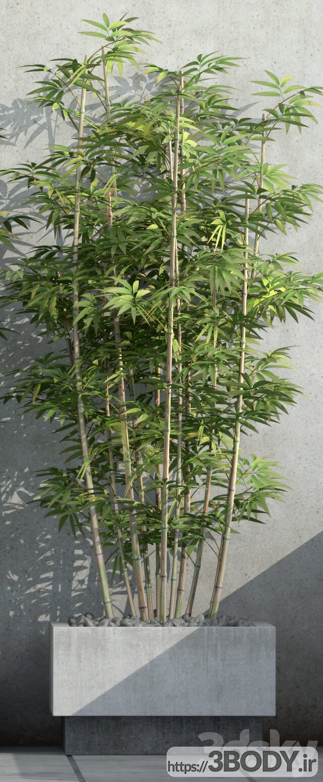 آبجکت سه بعدی گل و گیاه بامبو عکس 2