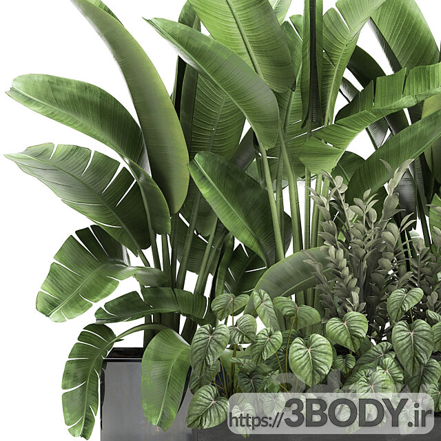 آبجکت سه بعدی مجموعه گیاهان عکس 4