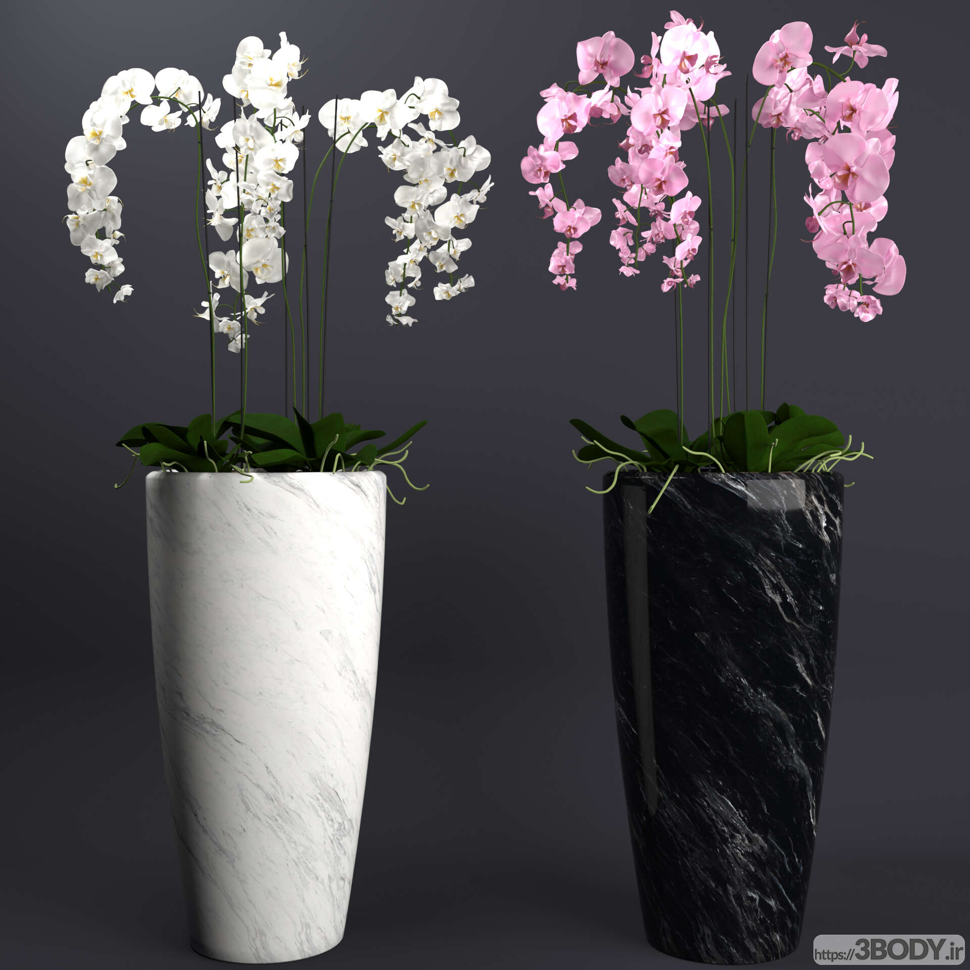 مدل سه بعدی دسته گل  و گلدان ارکیده عکس 1
