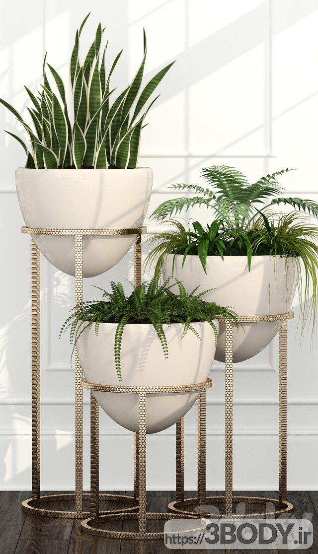 آبجکت سه بعدی گیاهان اتاق عکس 3