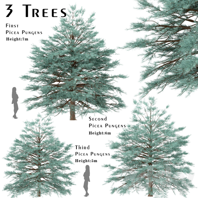 آبجکت سه بعدی مجموعه ای درختان عکس 1
