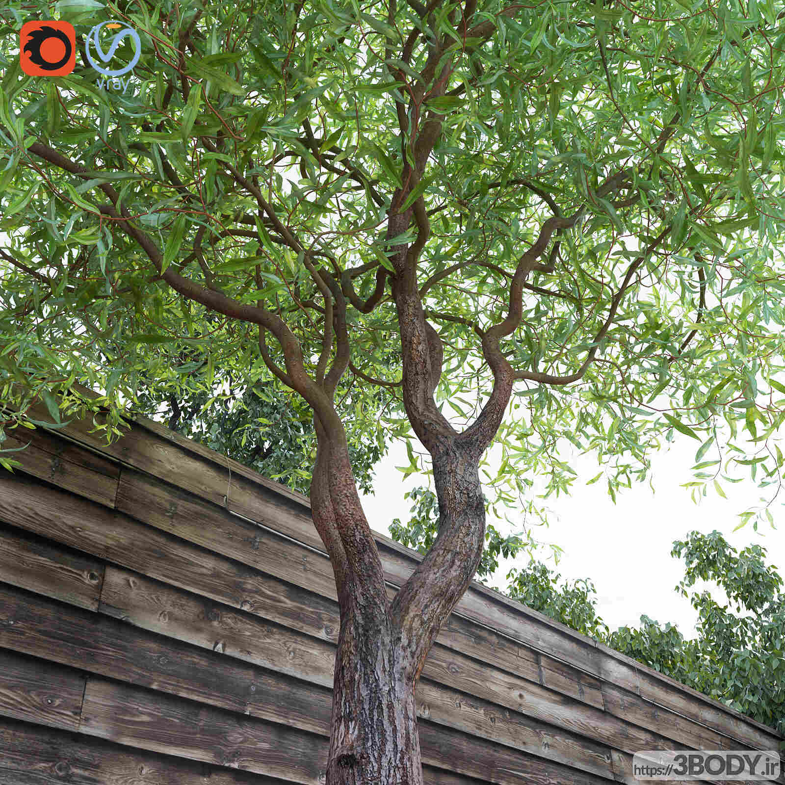 آبجکت سه بعدی درخت و درختچه عکس 2