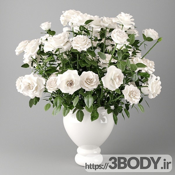 آبجکت سه بعدی گل رز سفید و گلدان عکس 1