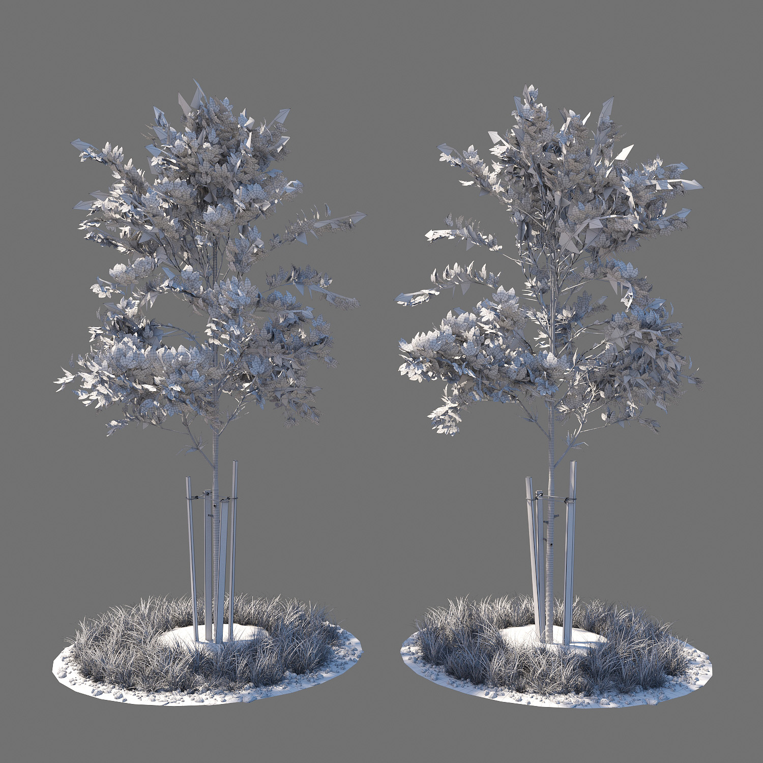 آبجکت سه بعدی درخت جوان عکس 2