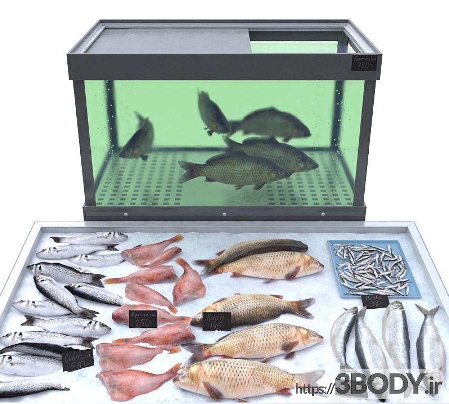 مدل سه بعدی فروشگاه ماهی عکس 1
