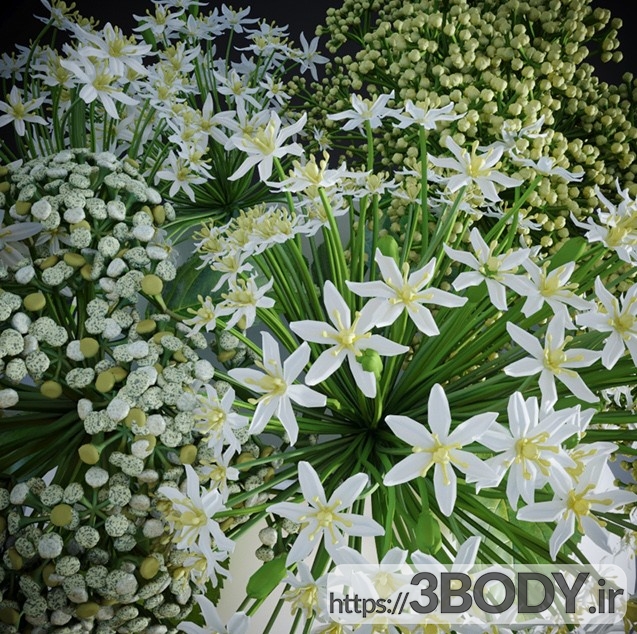 مدل  سه بعدی گل و گلدان سفید عکس 3