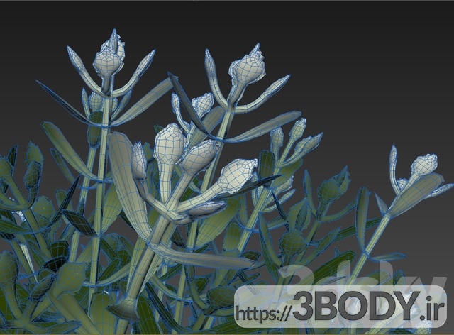 آبجکت سه بعدی گل و گلدان سبک داخلی عکس 3