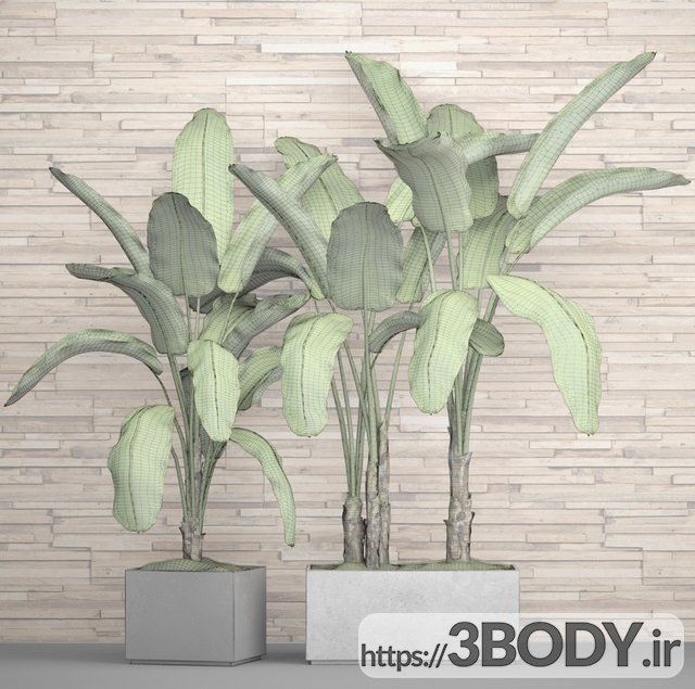 آبجکت سه بعدی مجموعه ای از گیاهان در گلدان عکس 2