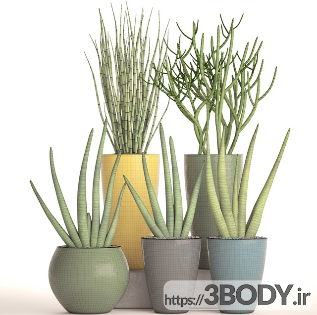 مدل سه بعدی مجموعه ای از گیاهان در گلدان عکس 2