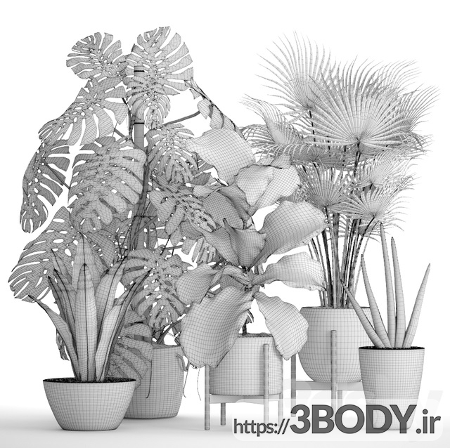آبجکت سه بعدی مجموعه ای از گیاهان در گلدان عکس 3