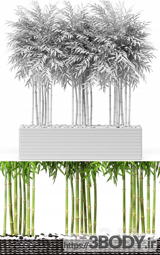 آبجکت سه بعدی گل و گیاه بامبو عکس 3